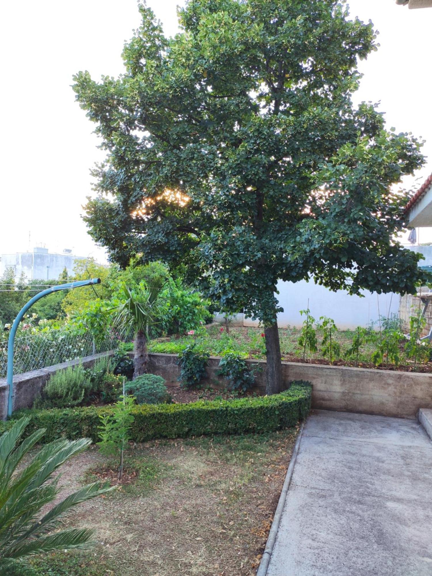 Apartment With Private Garden And The Terrace Ev Station Available Crikvenica Exterior photo