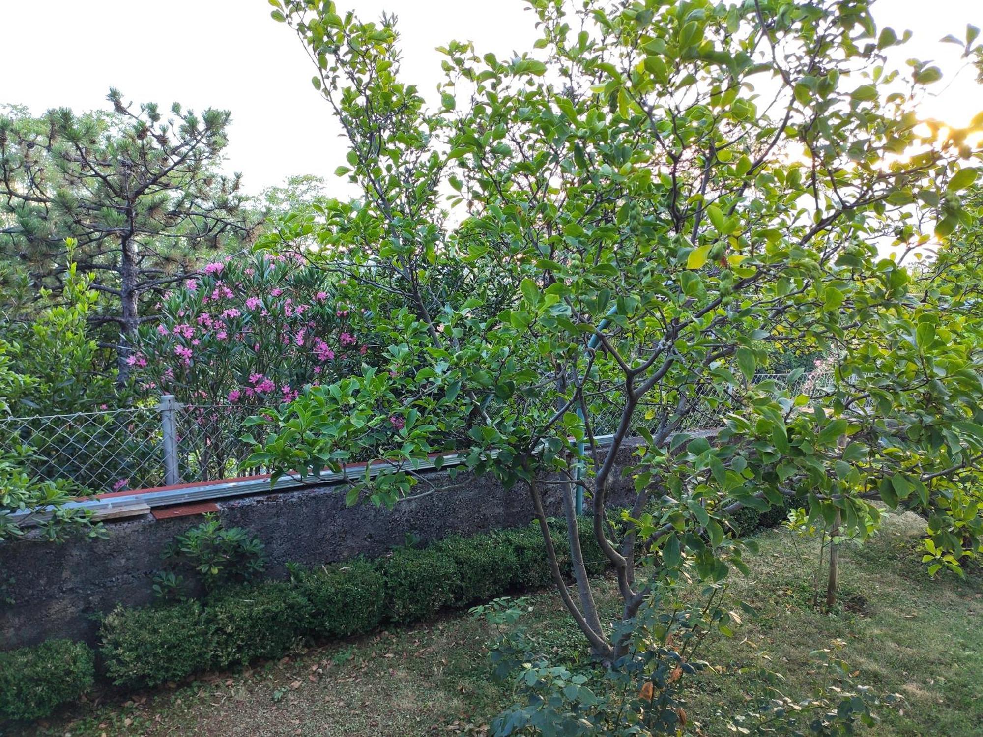 Apartment With Private Garden And The Terrace Ev Station Available Crikvenica Exterior photo